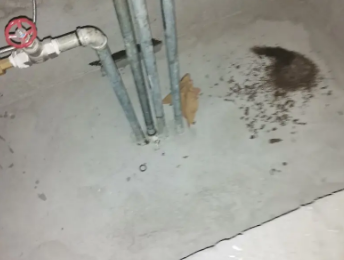 原平卫生间测漏水价格明细