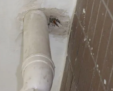 原平漏水检测哪家好